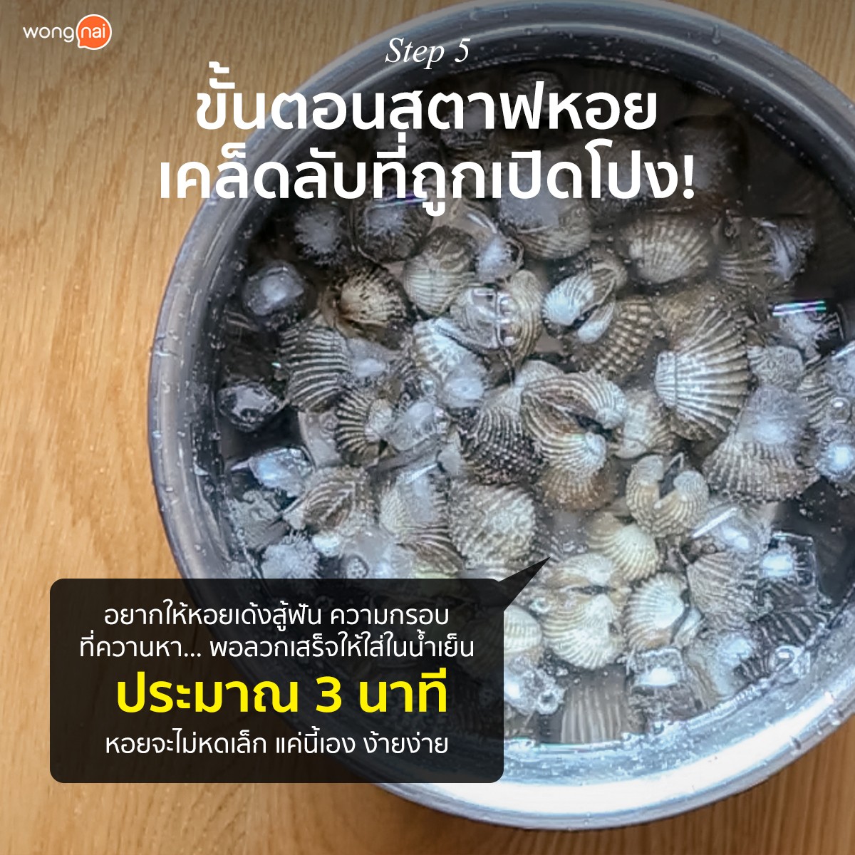 หอยแครง