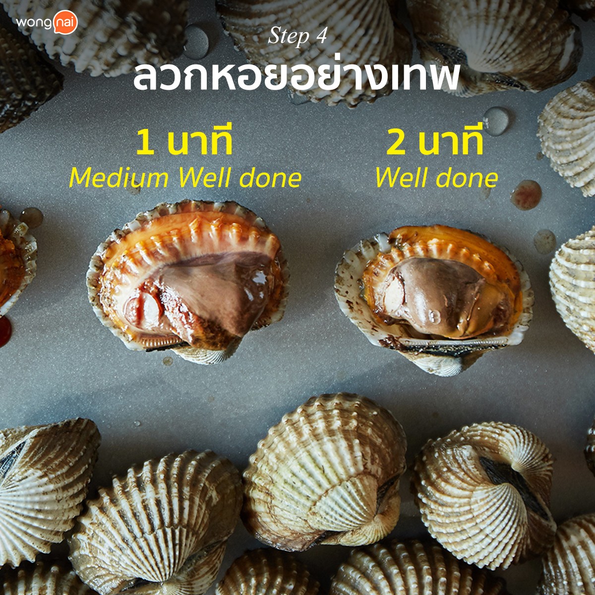 หอยแครง