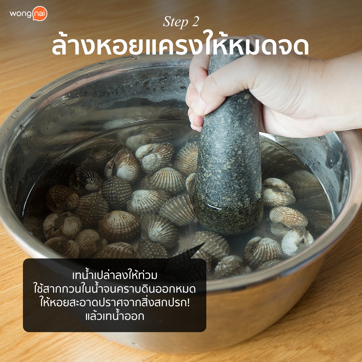 หอยแครง