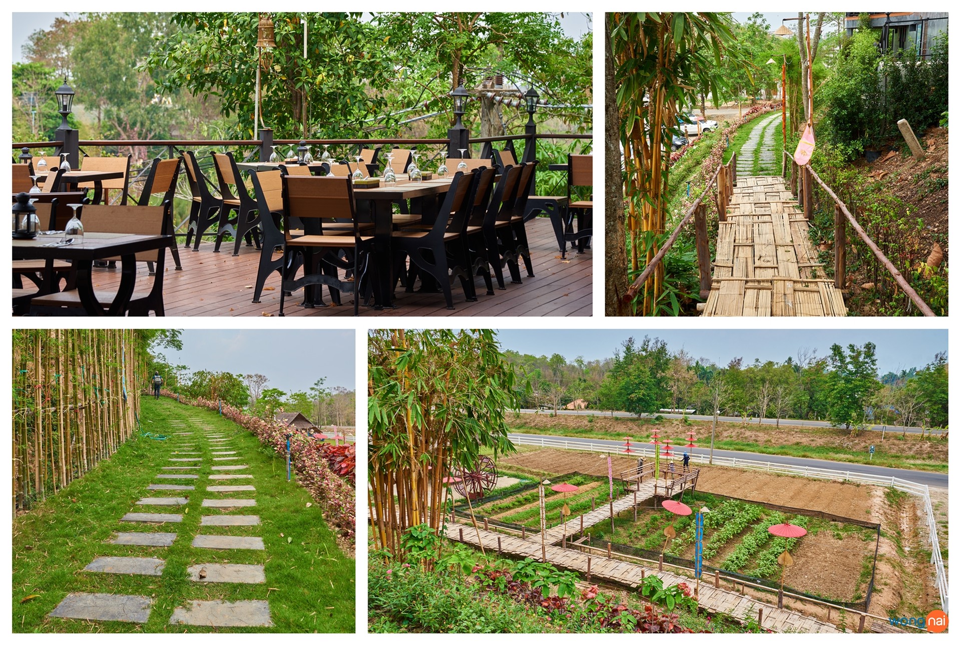 ตัวร้านนั้นจะแบ่งออกเป็นทั้งหมด 3 โซนด้วยกัน ซึ่งประกอบไปด้วย สวนปาล์มด้านหน้าร้าน ห้องแอร์ และ ระเบียงชมวิวด้านหลัง ซึ่งตรงจุดด้านหลังนี้ต้องขอแอบบอกนิดนึงว่าถ้ามาช่วงที่คนเยอะๆ แล้วอยากได้ที่นั่งวิวดีๆ บริเวณนี้ก็ต้องสู้รบปรบมือกันหน่อยนะ ทางที่ดีโทรก่อนเลยจะได้ไม่ต้องเสียใจทีหลัง