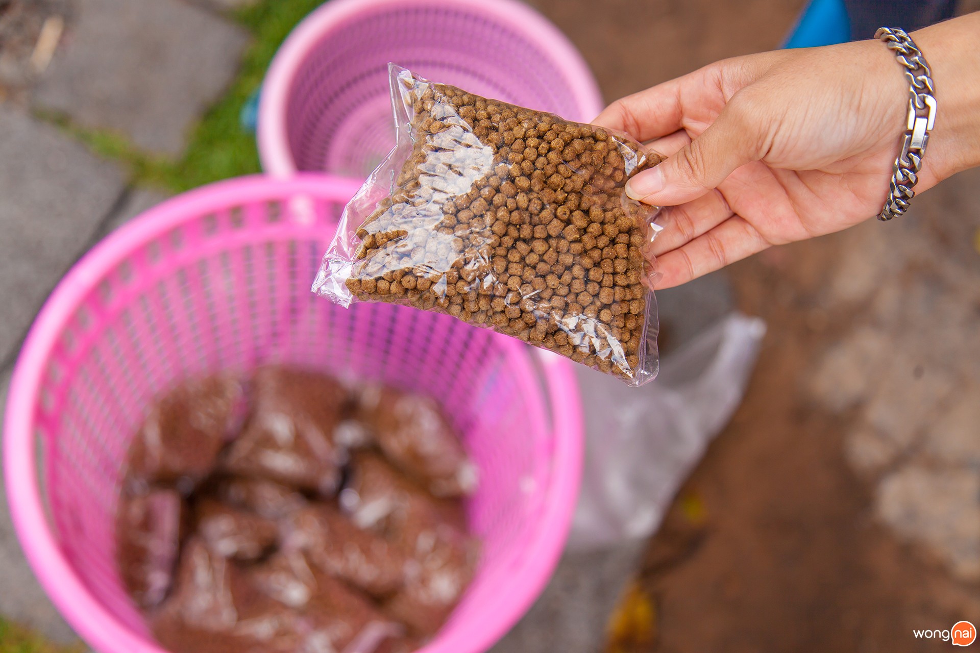 ดูดวง, ย่าโม, ลานย่าโม, โคราช, ท้าวสุรนารี, เที่ยว, ประตูชุมพล, ของอร่อย, งบ