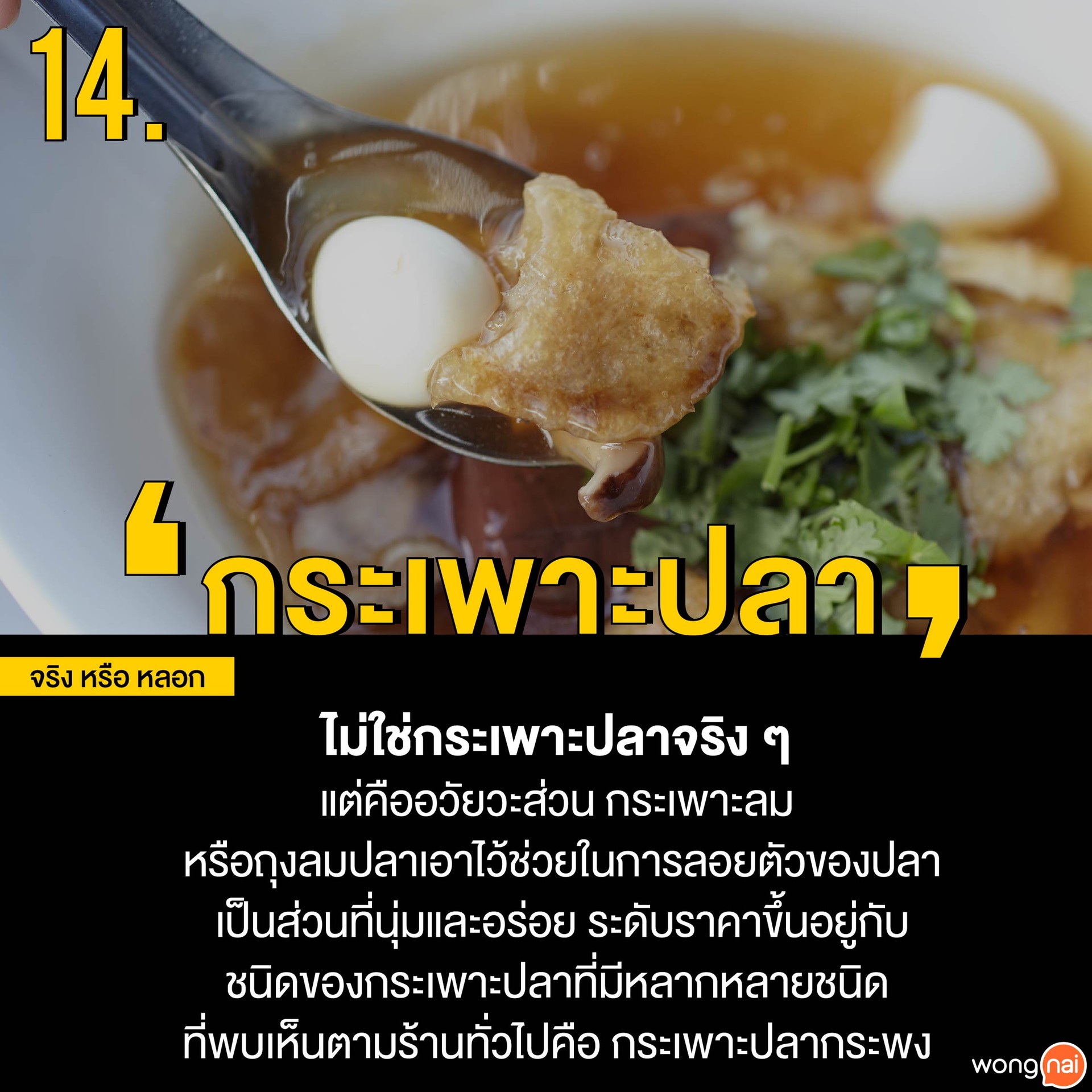 กระเพาะปลา