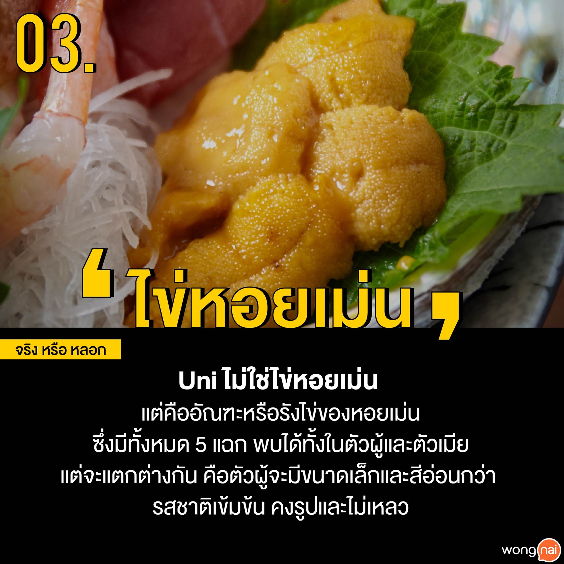 food tip จริงหรือหลอก ไข่หอยเม่น
