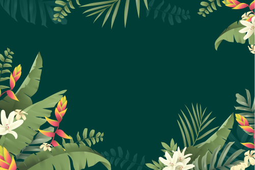 flowers-g45399540d_1920.png
