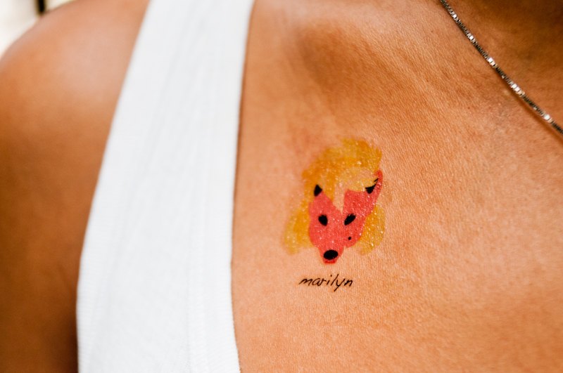 fox贴纸:玻璃上的贴纸怎么去除_快步资讯_快步