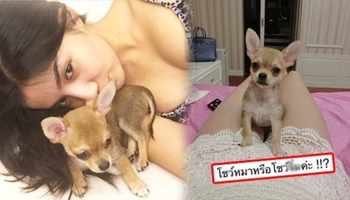 image of ใบเตย โพสต์ภาพน้องหมาติดเรท โดนแขวะอีกแร๊ะ