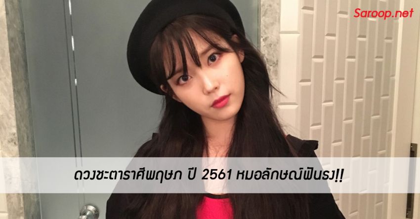 image of ดวงชะตาราศีพฤษภ ♉️ ปี 2561 หมอลักษณ์ฟันธง!!