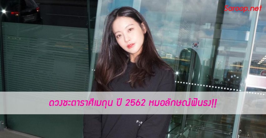 image of ดวงชะตาราศีเมถุน ♊️ ปี 2562 หมอลักษณ์ฟันธง!!
