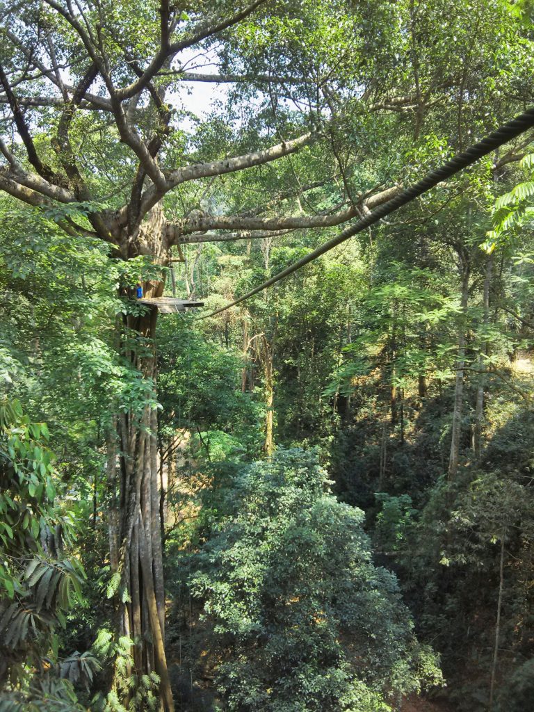 ธรรมชาติ Zipline เชียงใหม่