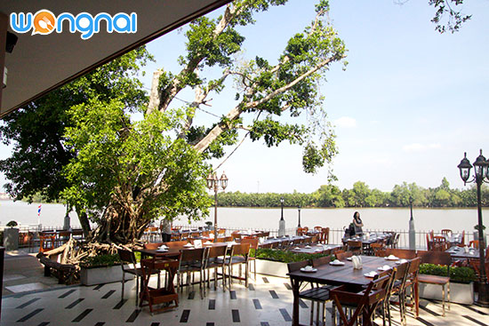 เรือนร่มไทร