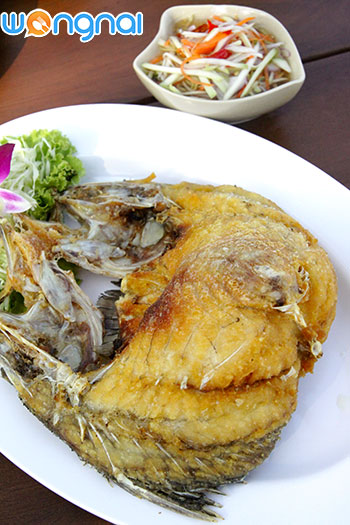 เรือนร่มไทร