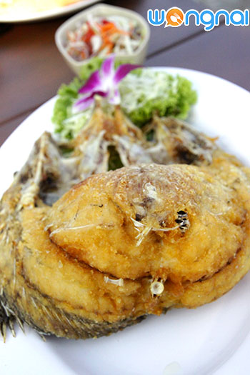 เรือนร่มไทร