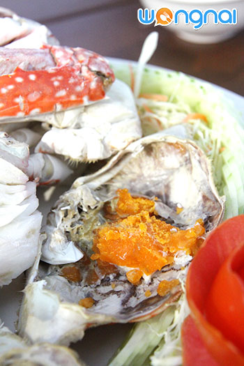 เรือนร่มไทร