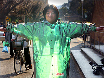 Invisibility cloak