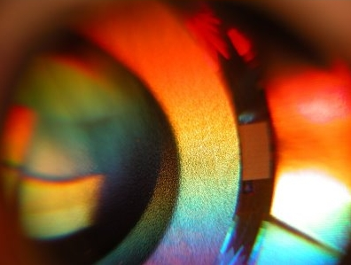 photos in windows vista's hologram