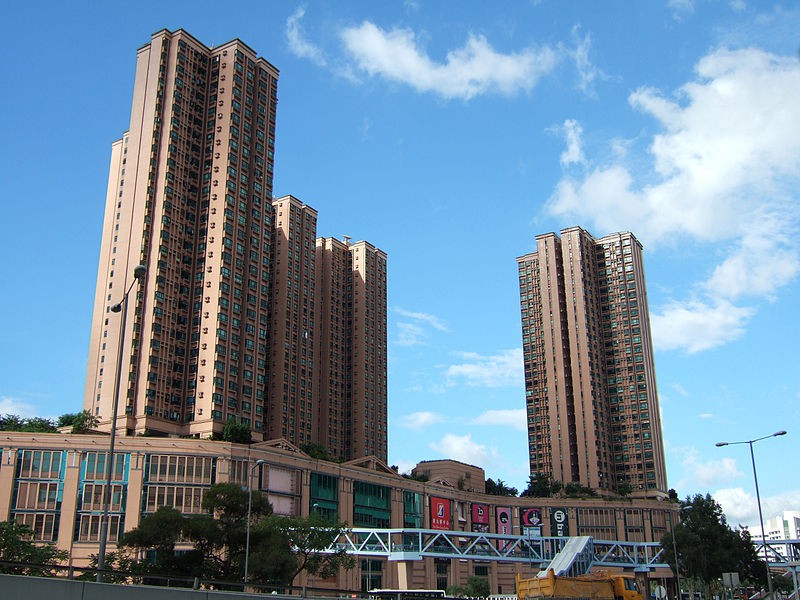 維基百科