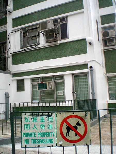 維基百科
