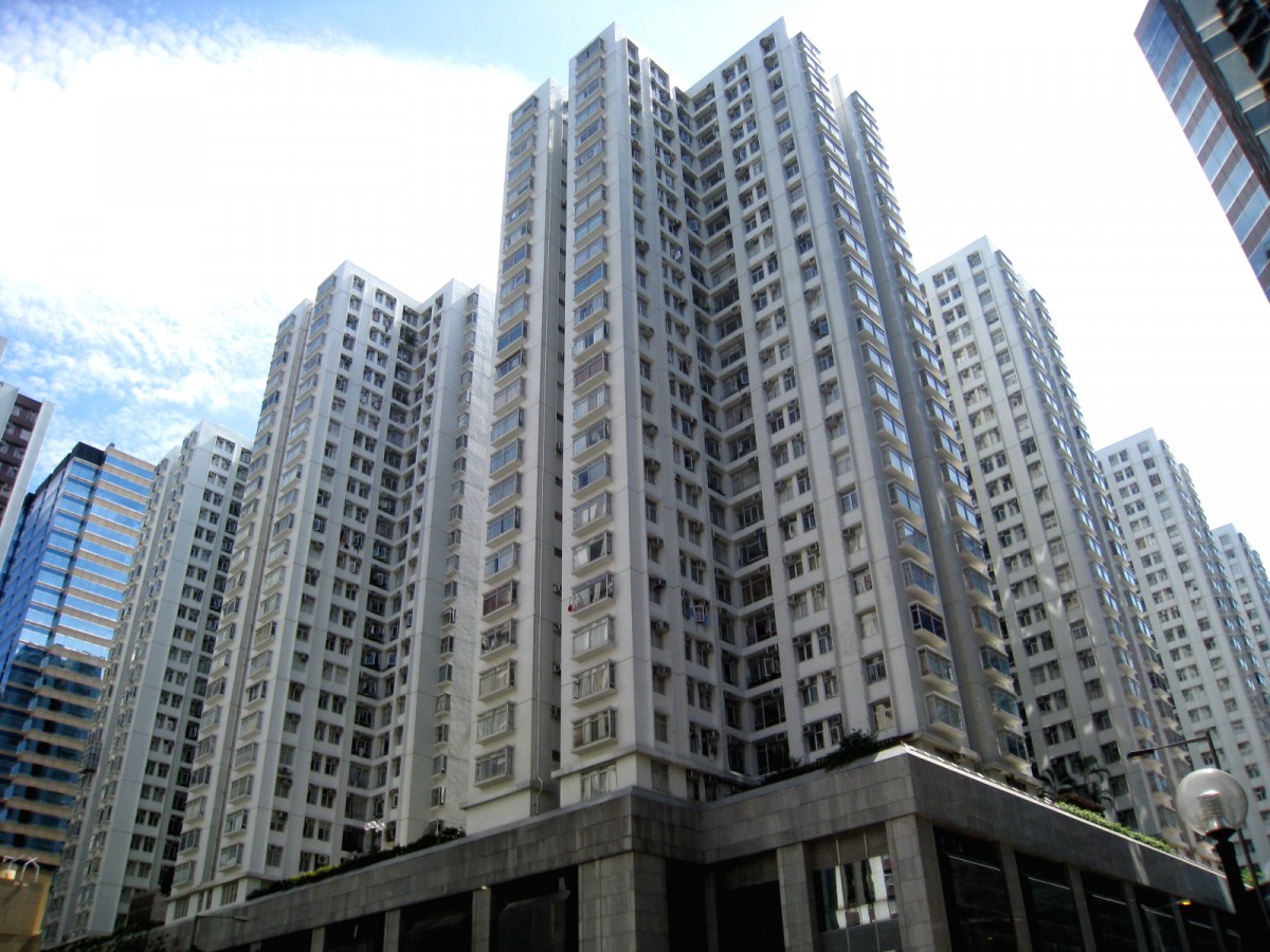 維基百科