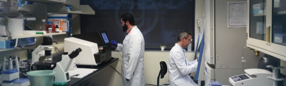 Genomic Prediction
