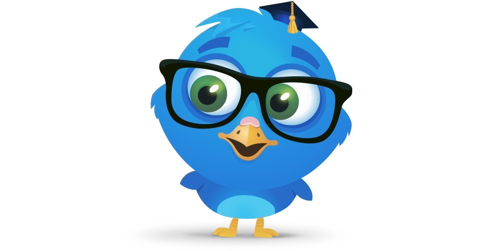 Edubirdie