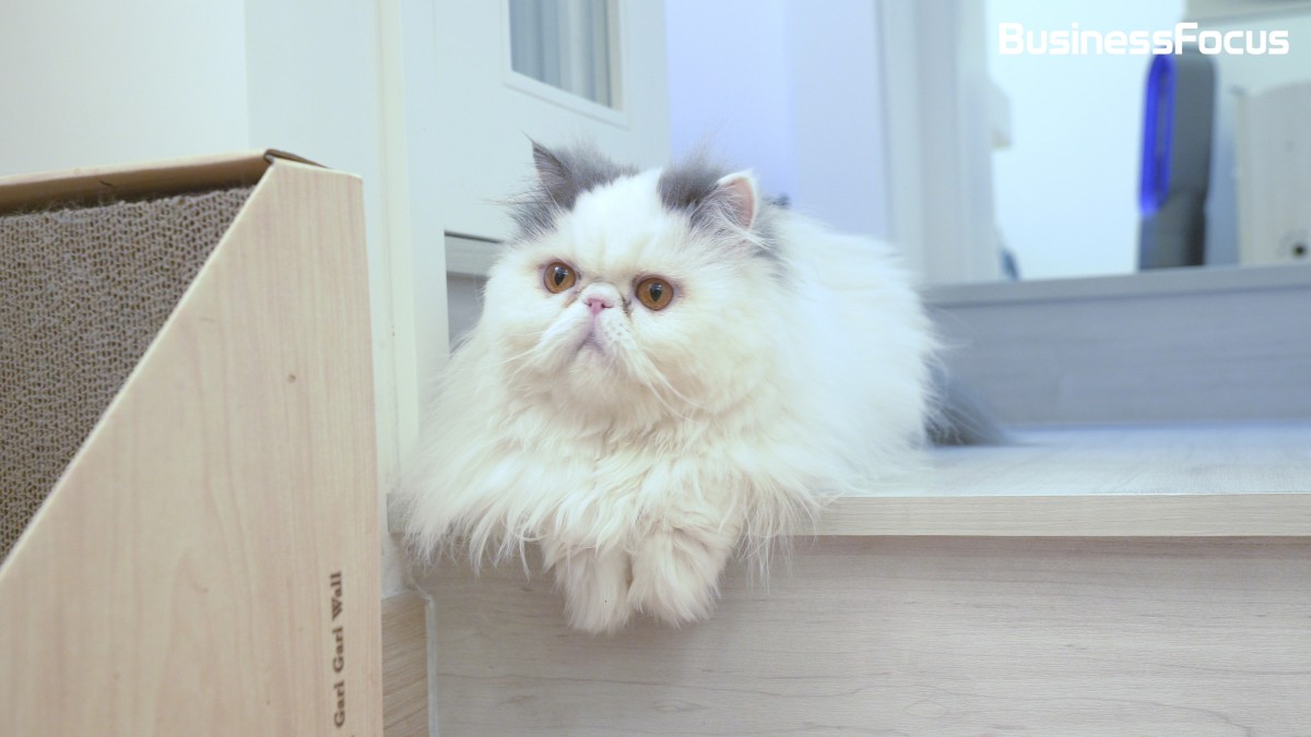 BusinessFocus