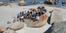 061214-flinders-25_square_thumb