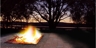 Echo_square_thumb