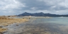 061214-flinders-20_square_thumb