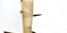 Fern_tree_square_thumb