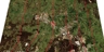 Maitland-aerial_square_thumb