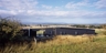 Acton_p_142_1_square_thumb