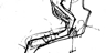 Ferntree_p_98_1_square_thumb