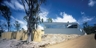 Tolmans_p_67_1_square_thumb