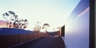 Tolmans_p_70_1_square_thumb