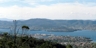 Tolmans_p_66_3_square_thumb