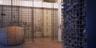 Grape_1_square_thumb