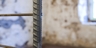 Grape_2_square_thumb
