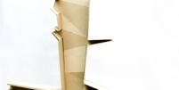 Fern_tree_thumb