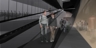 Panel_3_image_only_square_thumb