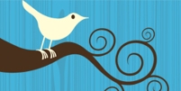 Twitter_thumb