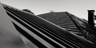 Swp_mg_2445_1_square_thumb