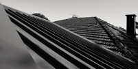 Swp_mg_2445_1_thumb