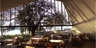 Pb_canopy_room_square_thumb