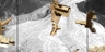 Terroir_npg_3screens_video_still_08_square_thumb