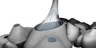 A_copy-lowres_copy_square_thumb