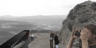 Thing_1_square_thumb