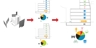 Programme_square_thumb