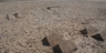 Dsc_0103-web_square_thumb