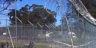 Villawood1_square_thumb