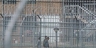 Villawood420-420x0_square_thumb